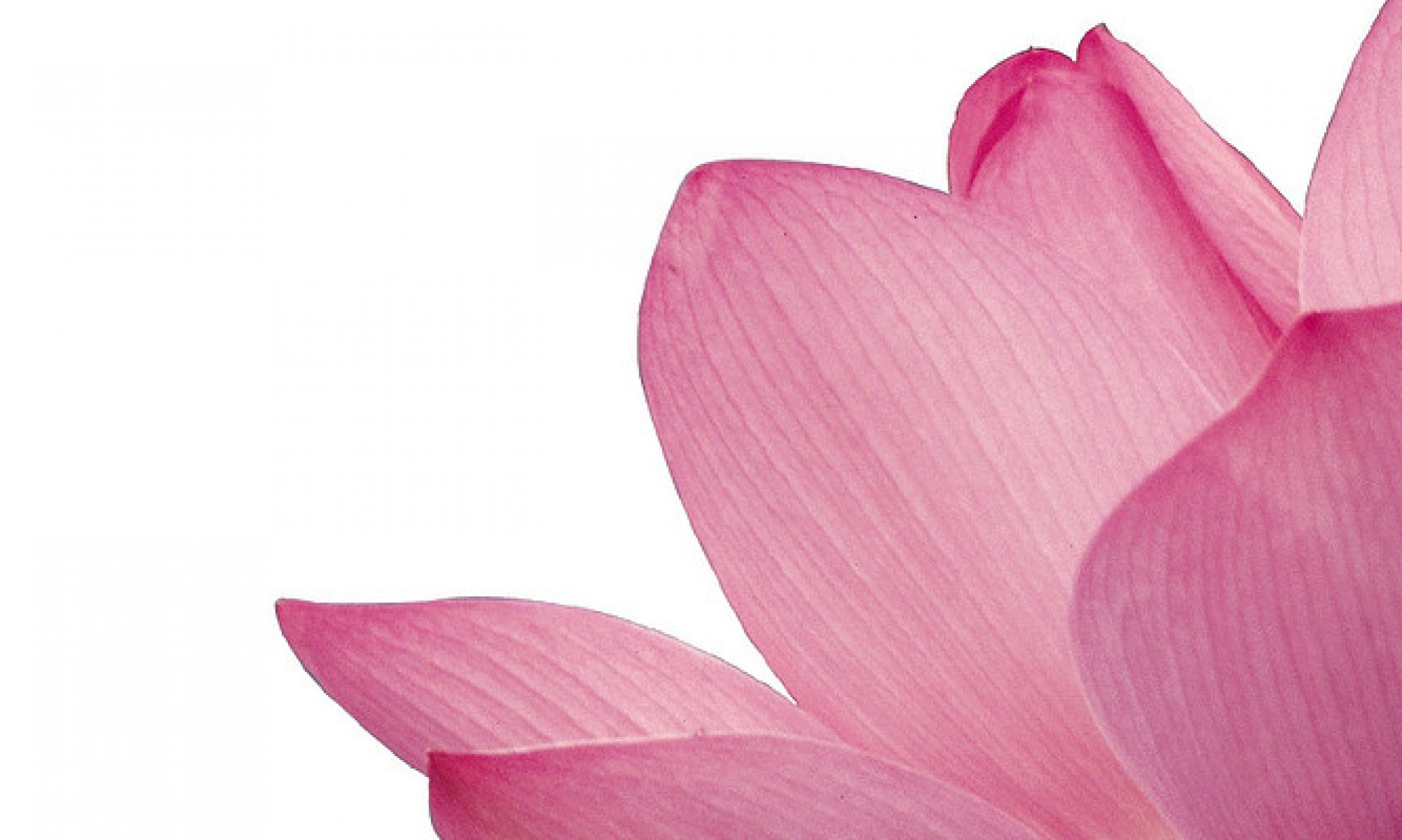 Acupuncture | Ear Wax removal